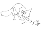Coloriage souris épineuse rate son départ