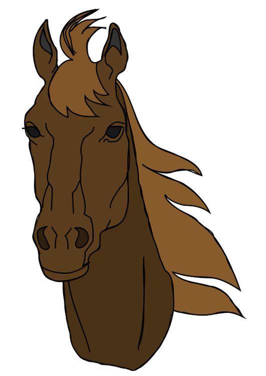 tÃªte de cheval