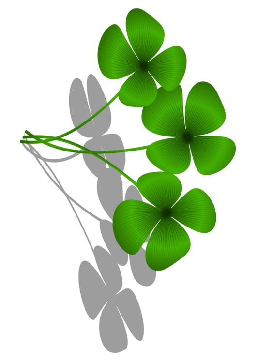 trÃ¨fle Ã  quatre feuilles