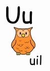 image u