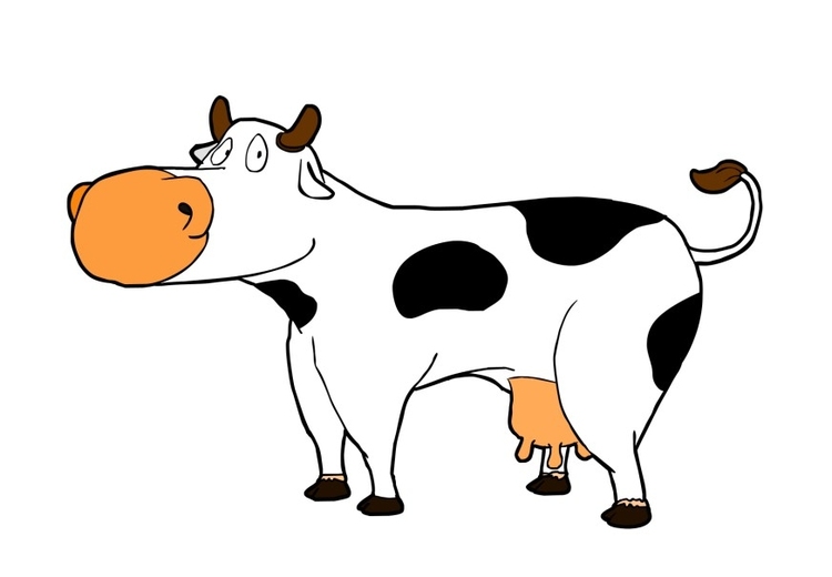 Image vache