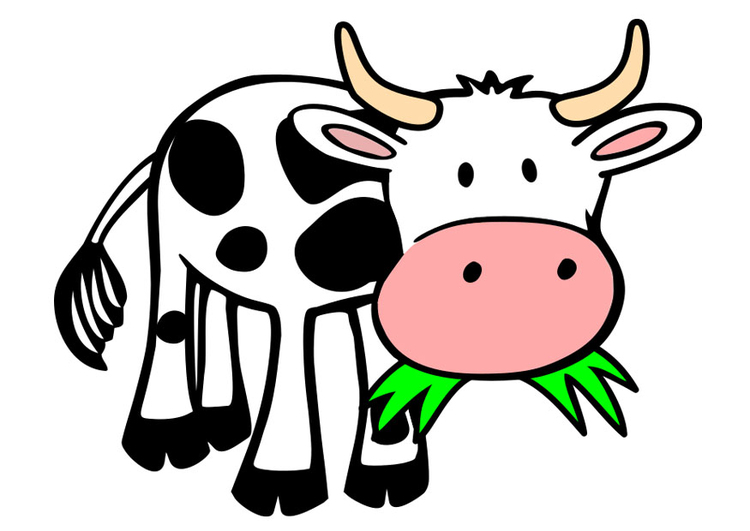 Image vache