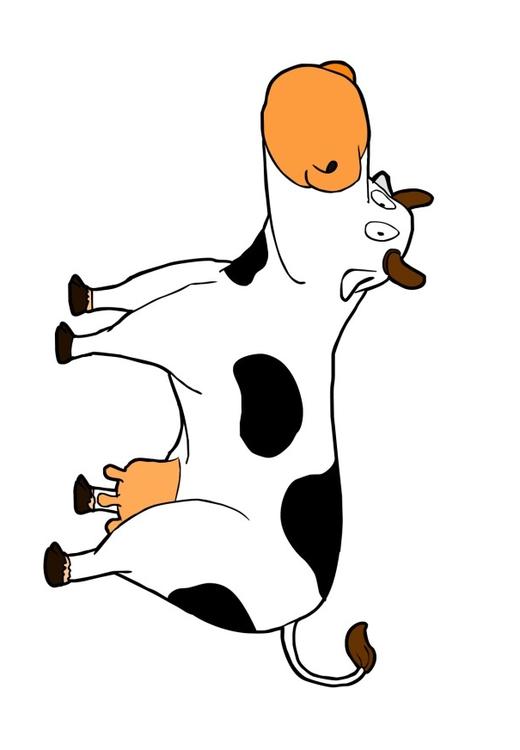 vache