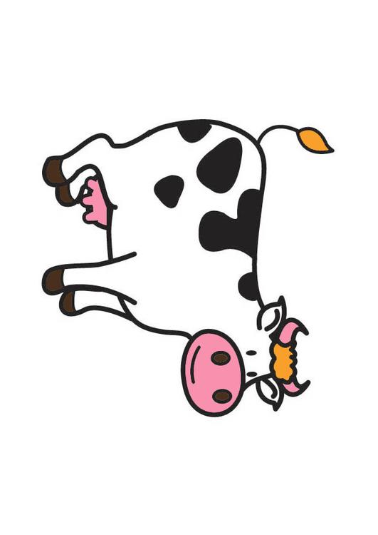 vache