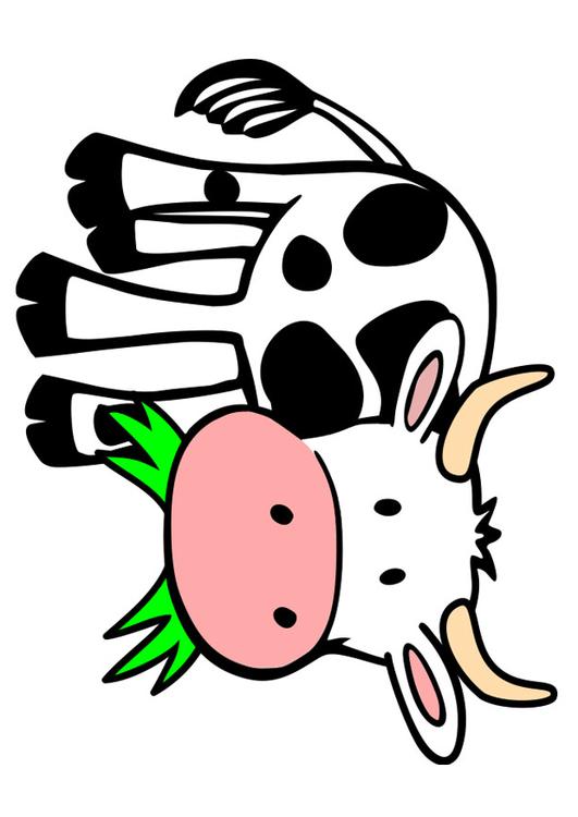 vache