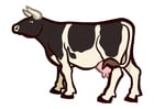 Image Vache