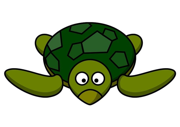 Image z1-la tortue