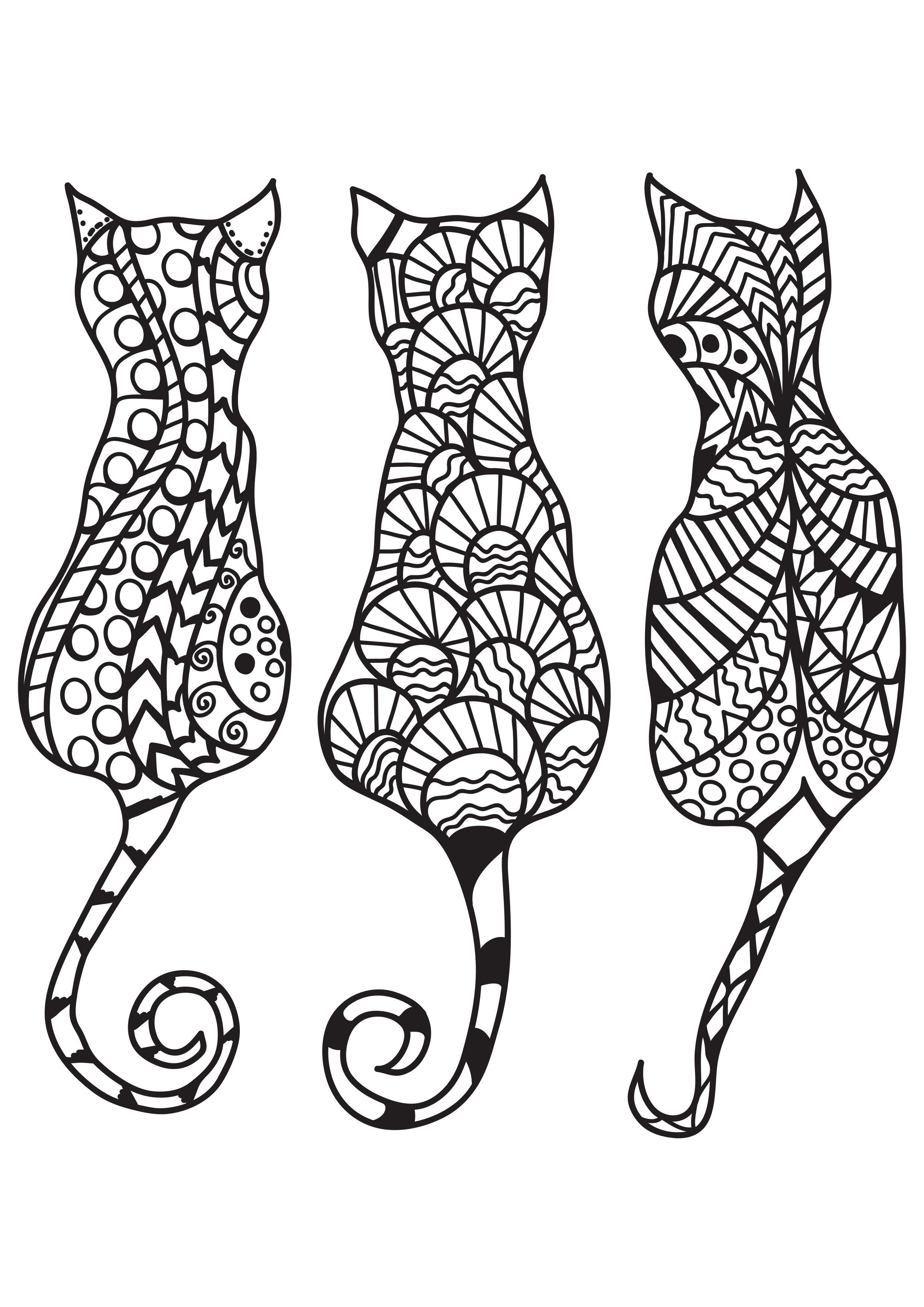 3 chats Coloriage 3 chats