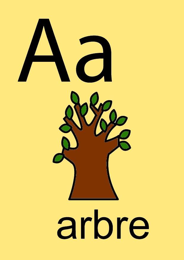a Image a