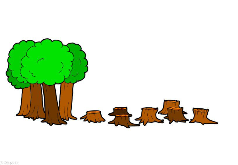 abattre les arbres Image abattre les arbres