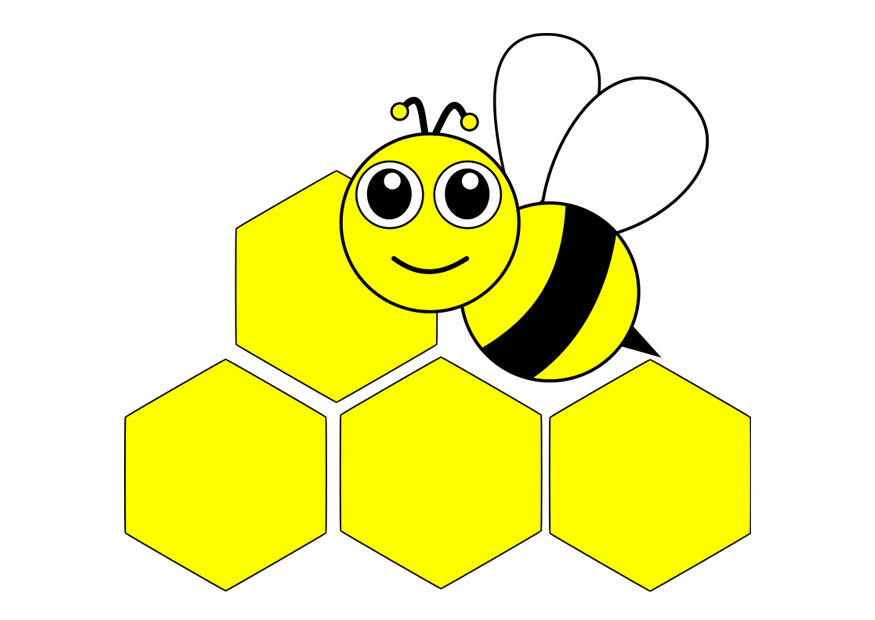 abeille - avant Image abeille - avant