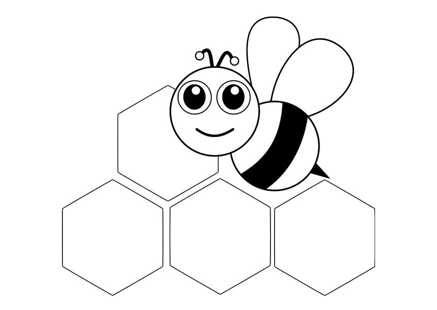 abeille - devant Coloriage abeille - devant