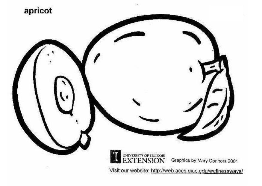 abricot Coloriage abricot