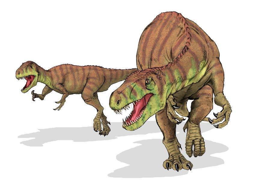 afrovenator abakensis Image afrovenator abakensis