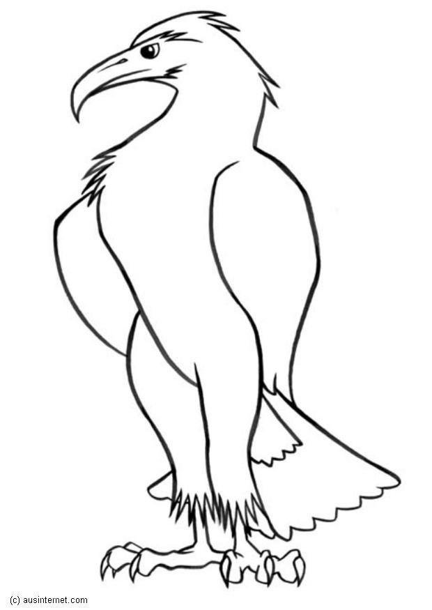 aigle Coloriage aigle