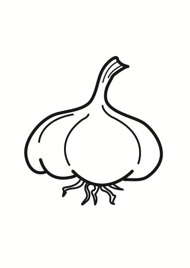 ail Coloriage ail