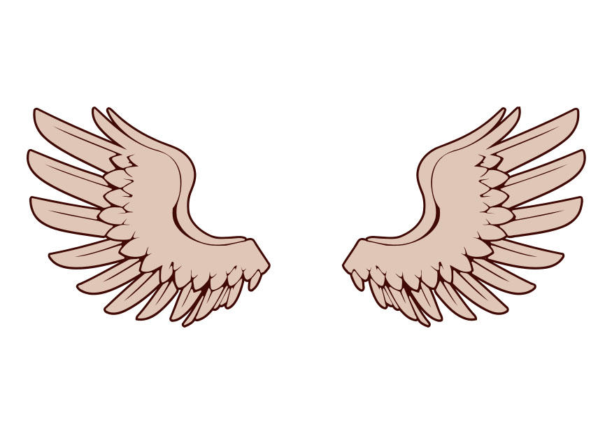 ailes Image ailes