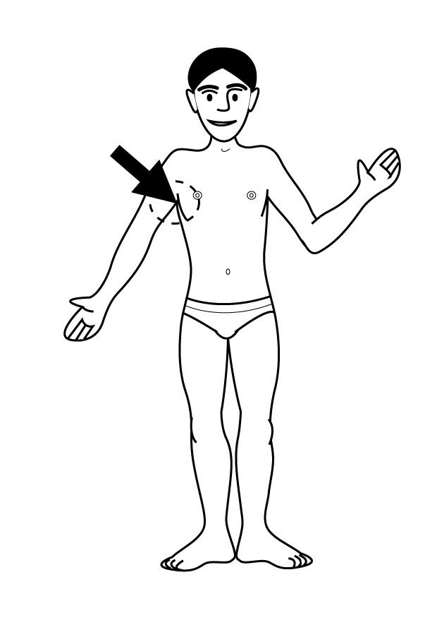 aisselle Coloriage aisselle