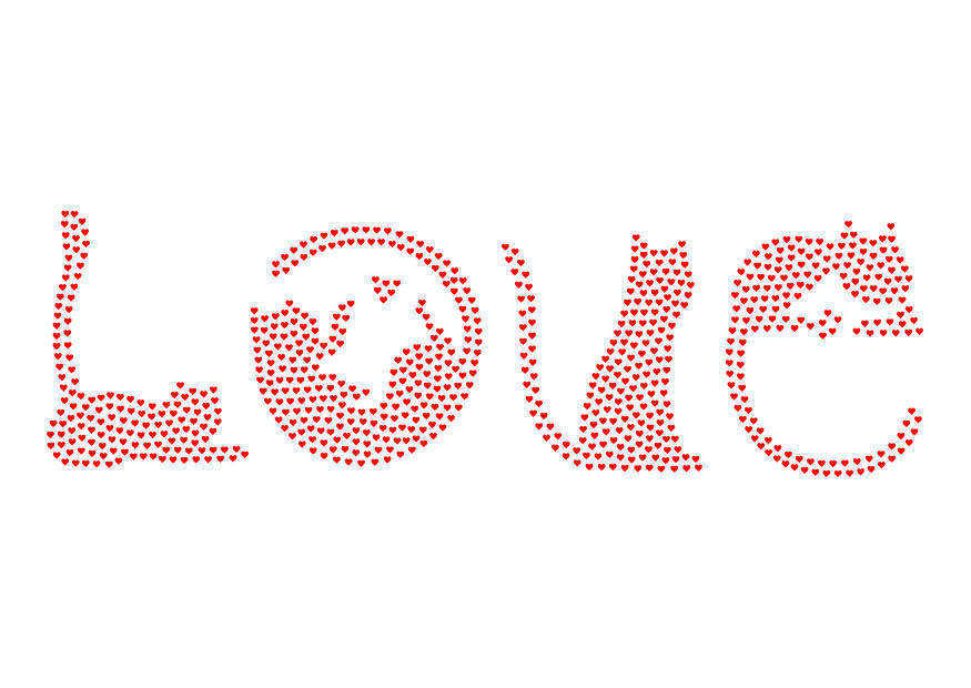 amour - chats Image amour - chats