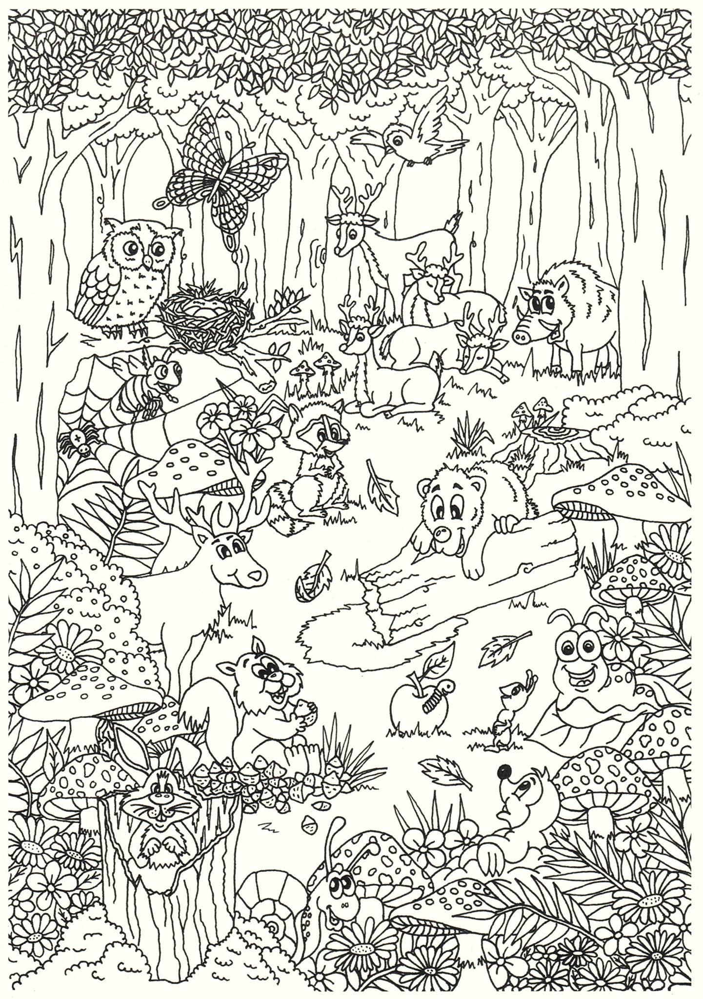 animaux dans la forAªt Coloriage animaux dans la forAªt