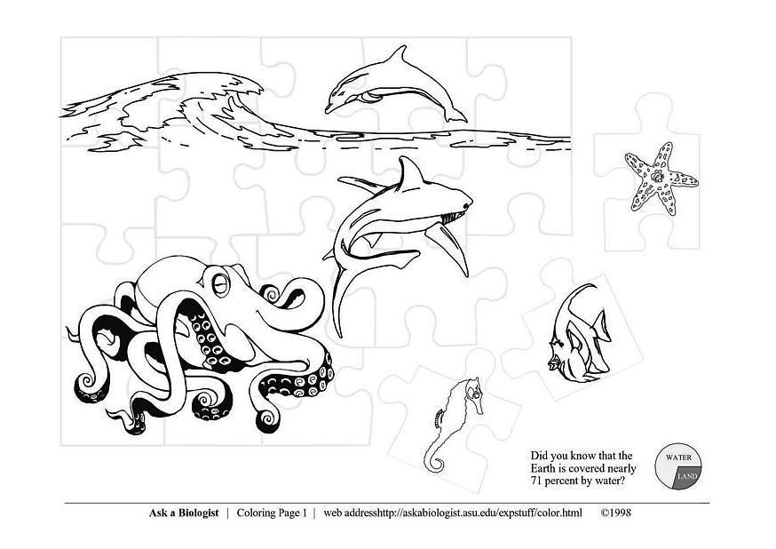 animaux de la mer Coloriage animaux de la mer