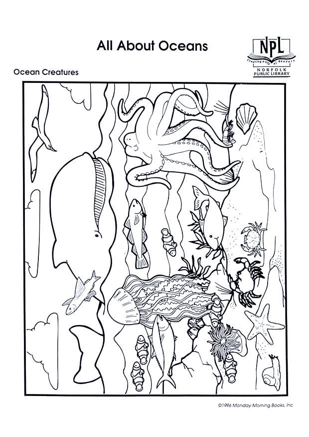 animaux marins Coloriage animaux marins