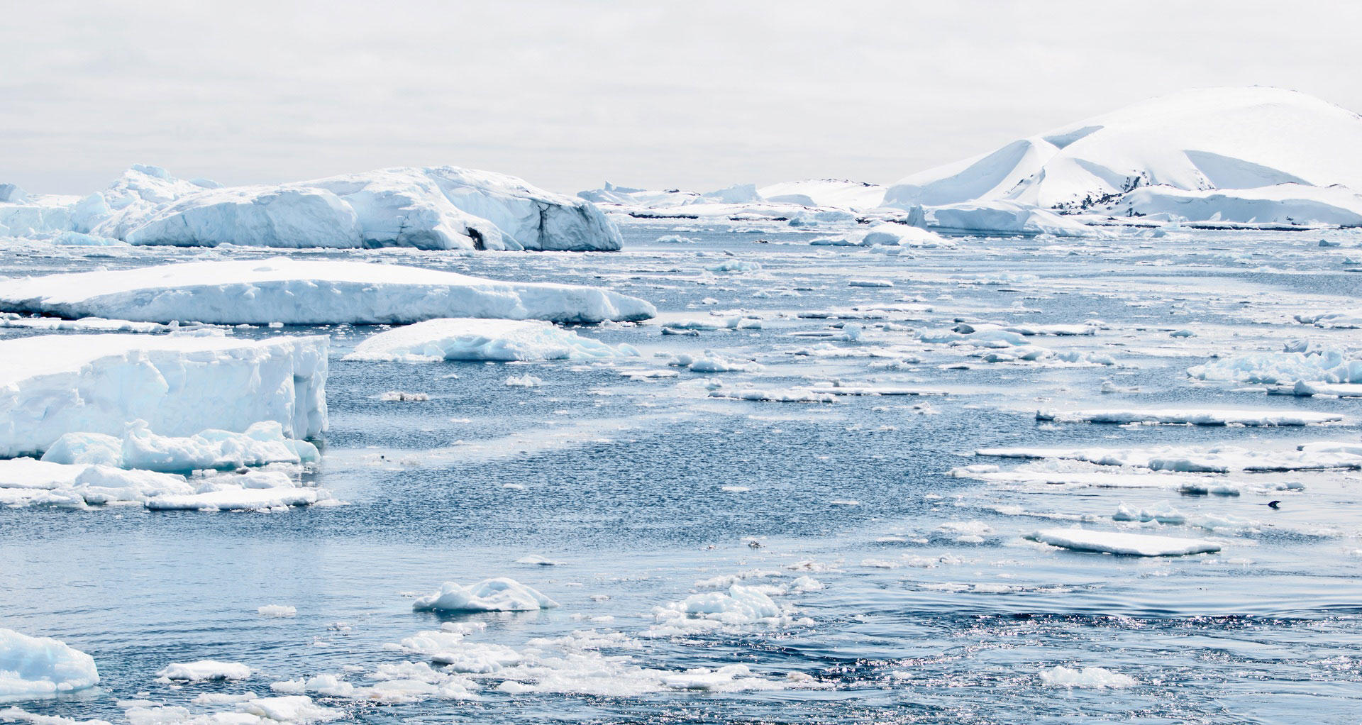 antarctique Photo antarctique