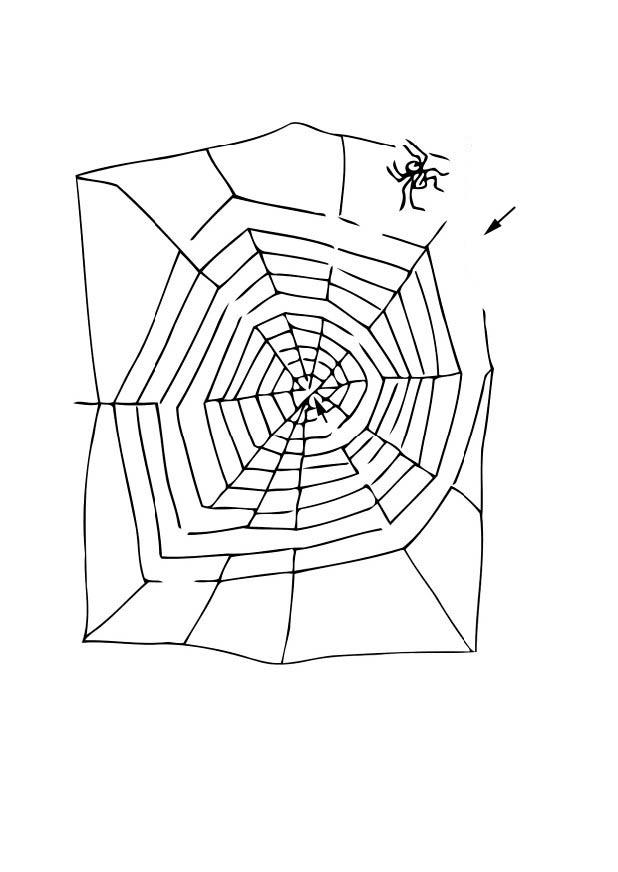 araignA©e dans labyrinthe Coloriage araignA©e dans labyrinthe
