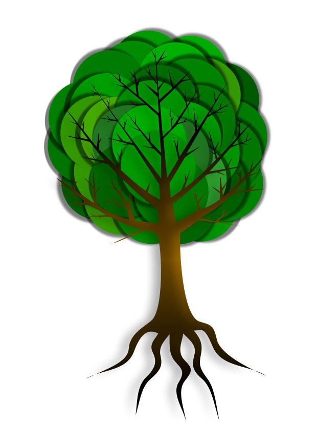 arbre Image arbre