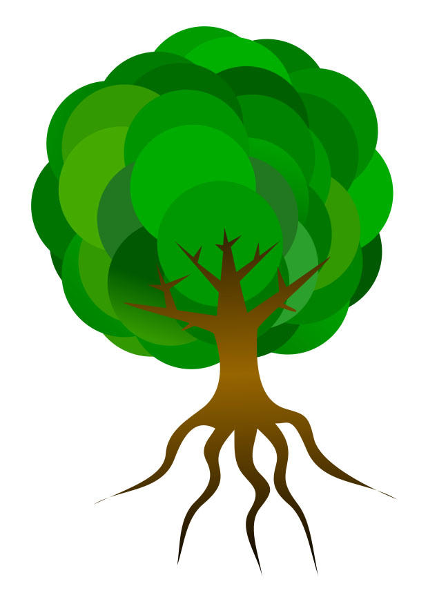 arbre Image arbre