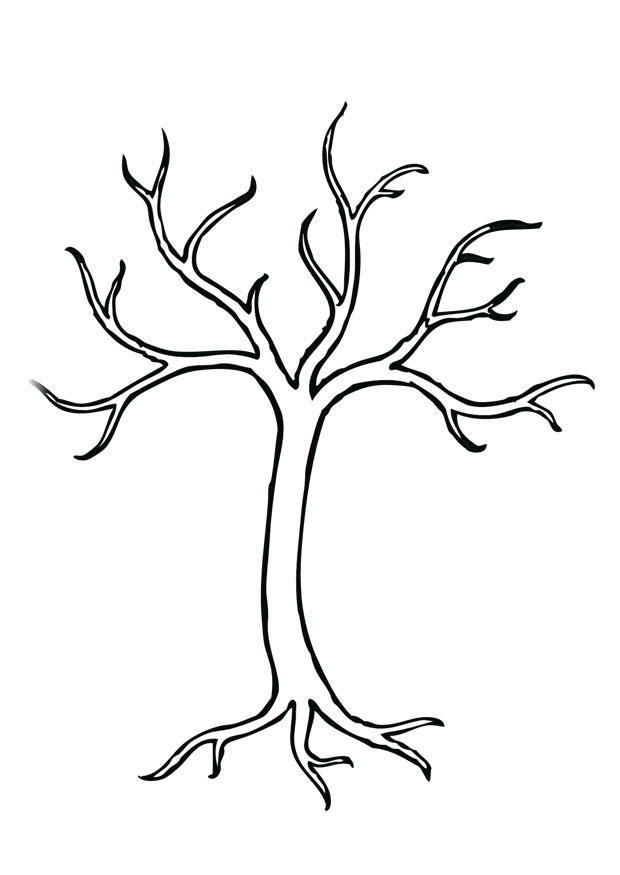 arbre Coloriage arbre