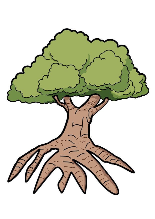 arbre Image arbre