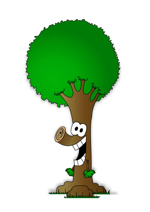 arbre Image arbre