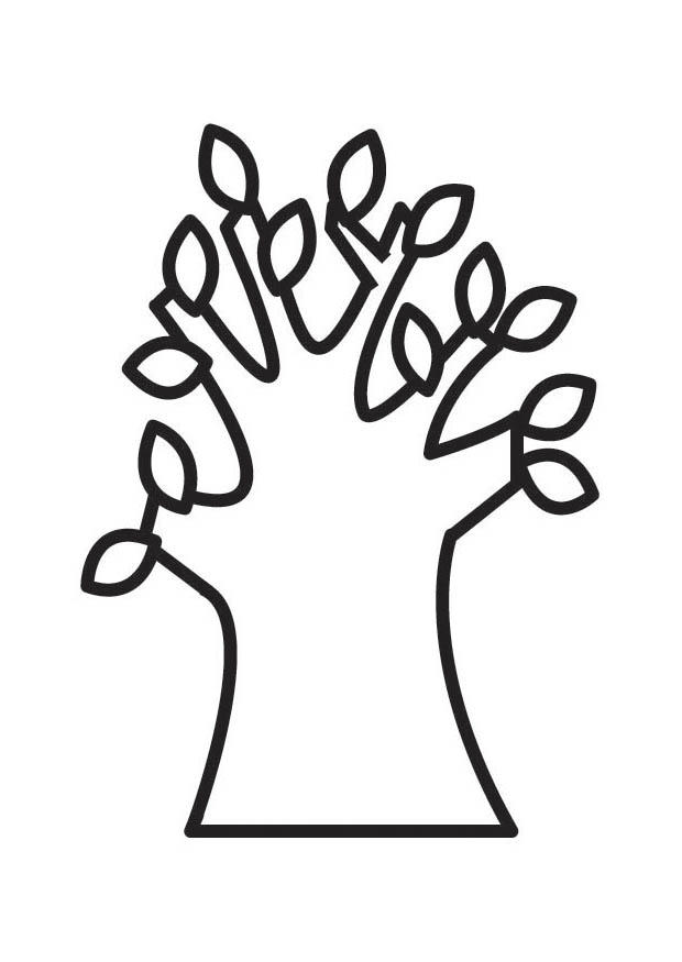 arbre au printemps Coloriage arbre au printemps