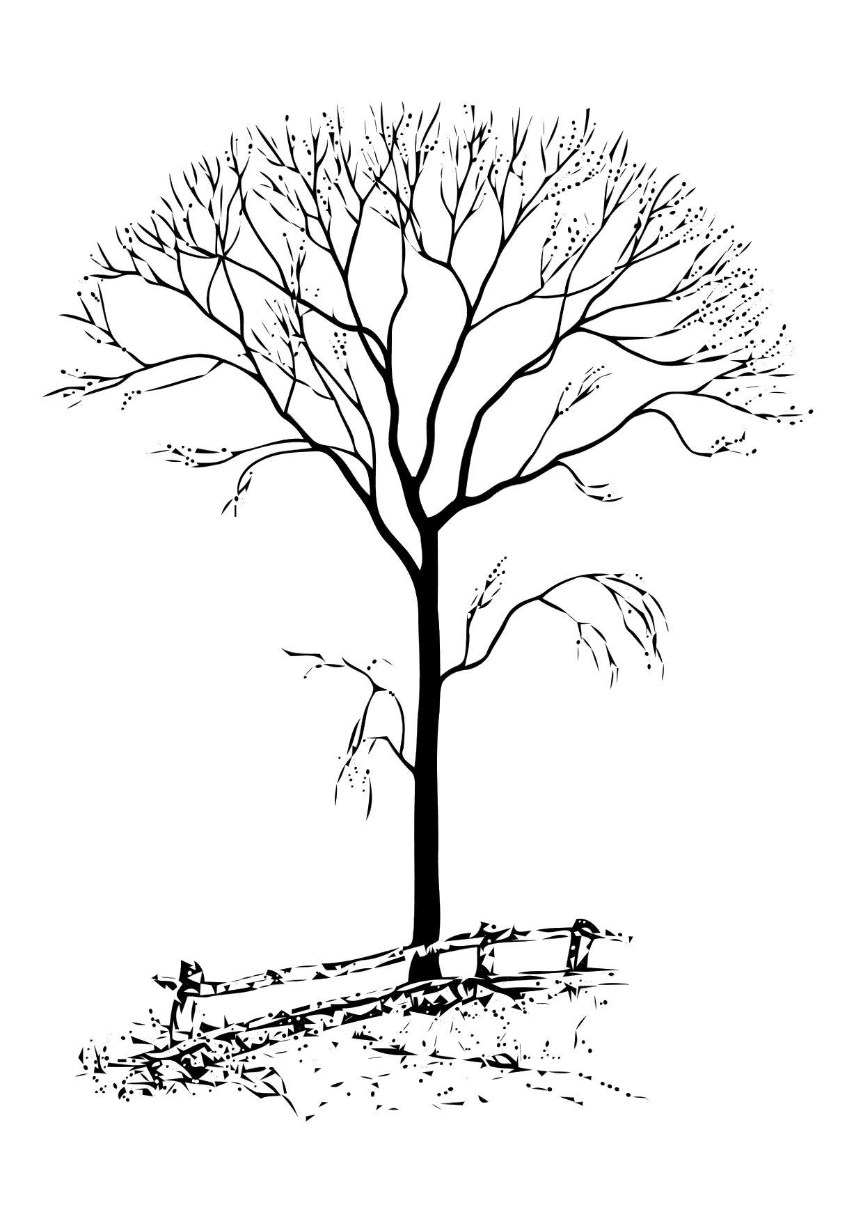 arbre dA©garni Coloriage arbre dA©garni