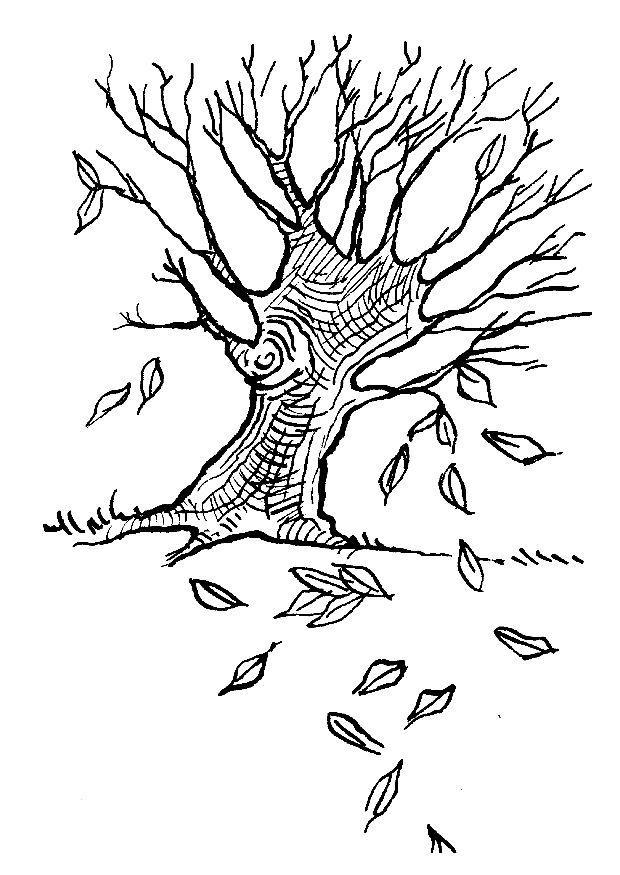 arbre en automne Coloriage arbre en automne