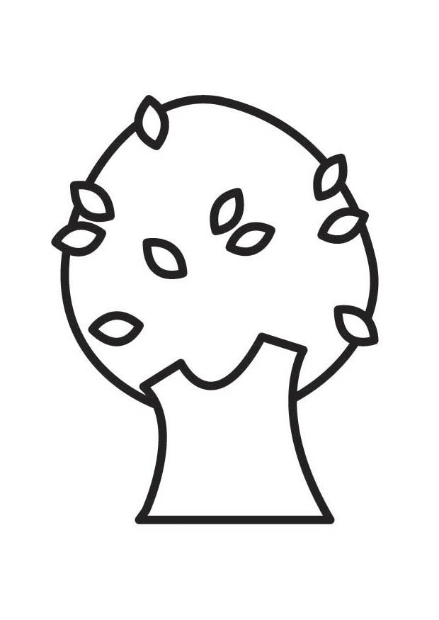 arbre en A©tA© Coloriage arbre en A©tA©