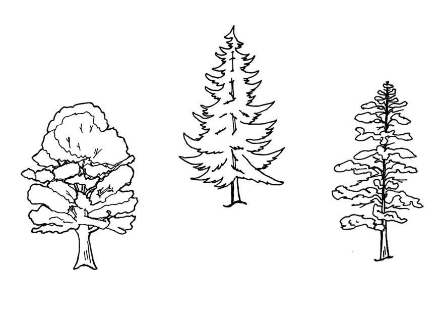 arbres Coloriage arbres