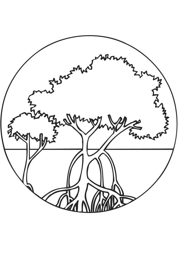 arbres de mangrove Coloriage arbres de mangrove