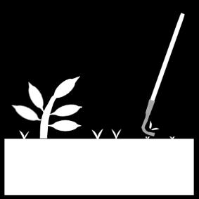 arracher les mauvaises herbes Coloriage arracher les mauvaises herbes