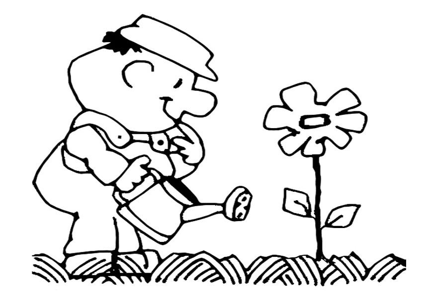 arroser les fleurs Coloriage arroser les fleurs