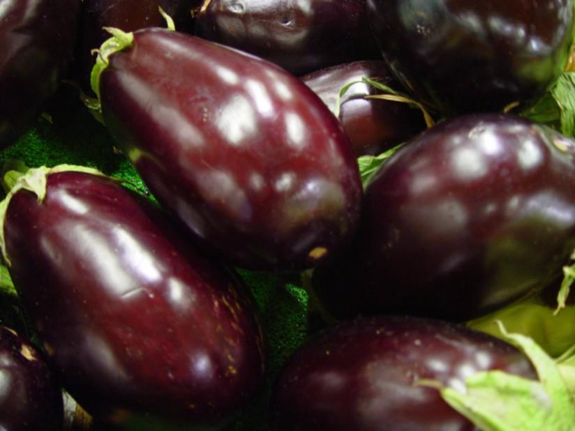aubergine Photo aubergine