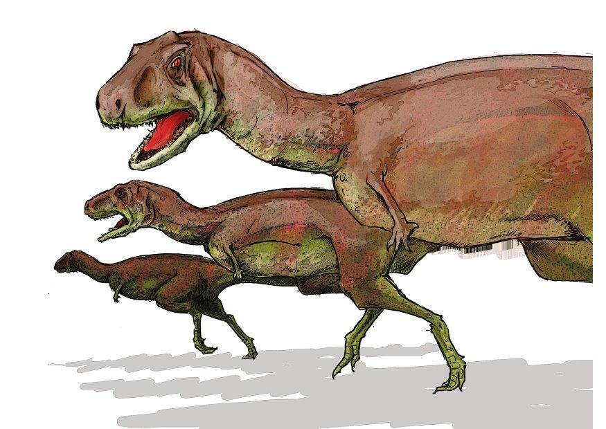 aucasaurus Image aucasaurus