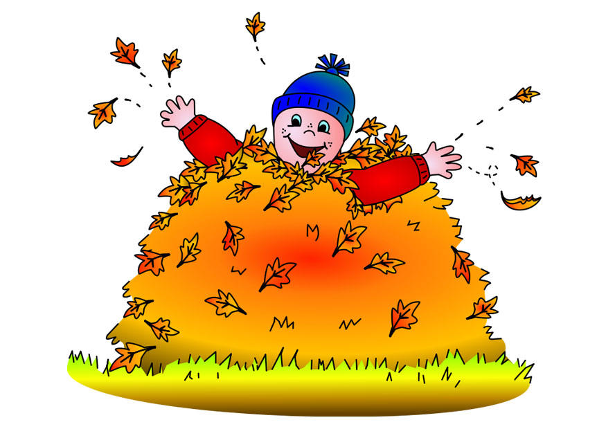 automne Image automne
