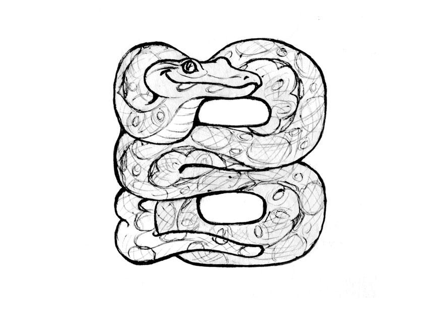 b-boa Coloriage b-boa