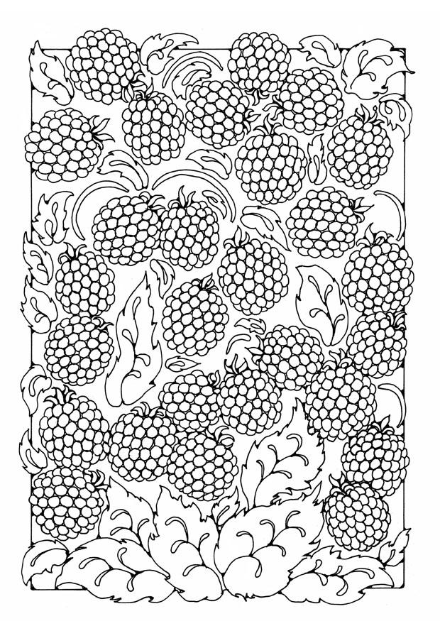 baies Coloriage baies