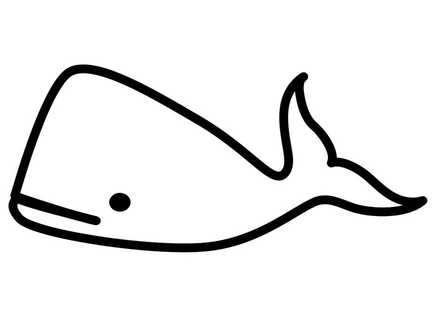baleine Coloriage baleine