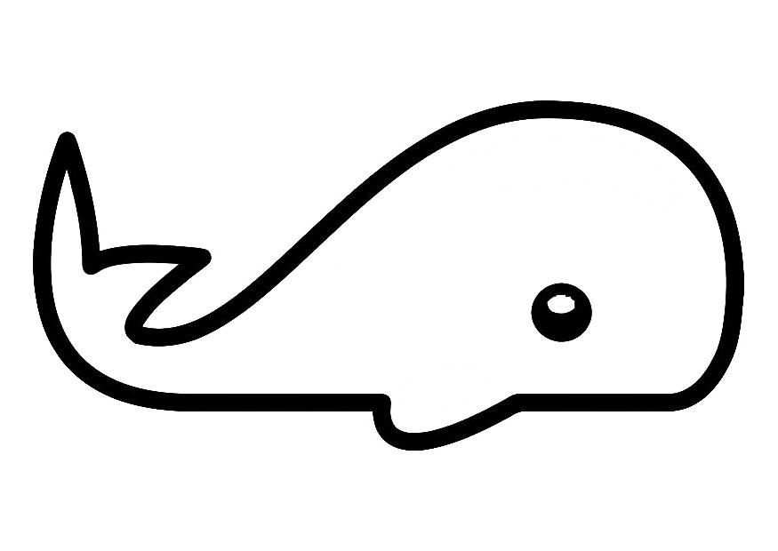 baleine Coloriage baleine