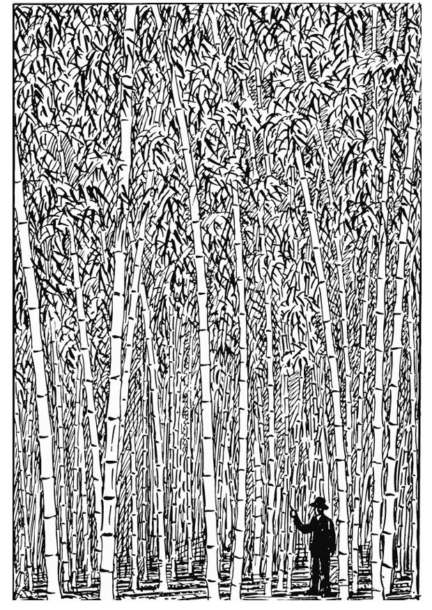 bambou Coloriage bambou