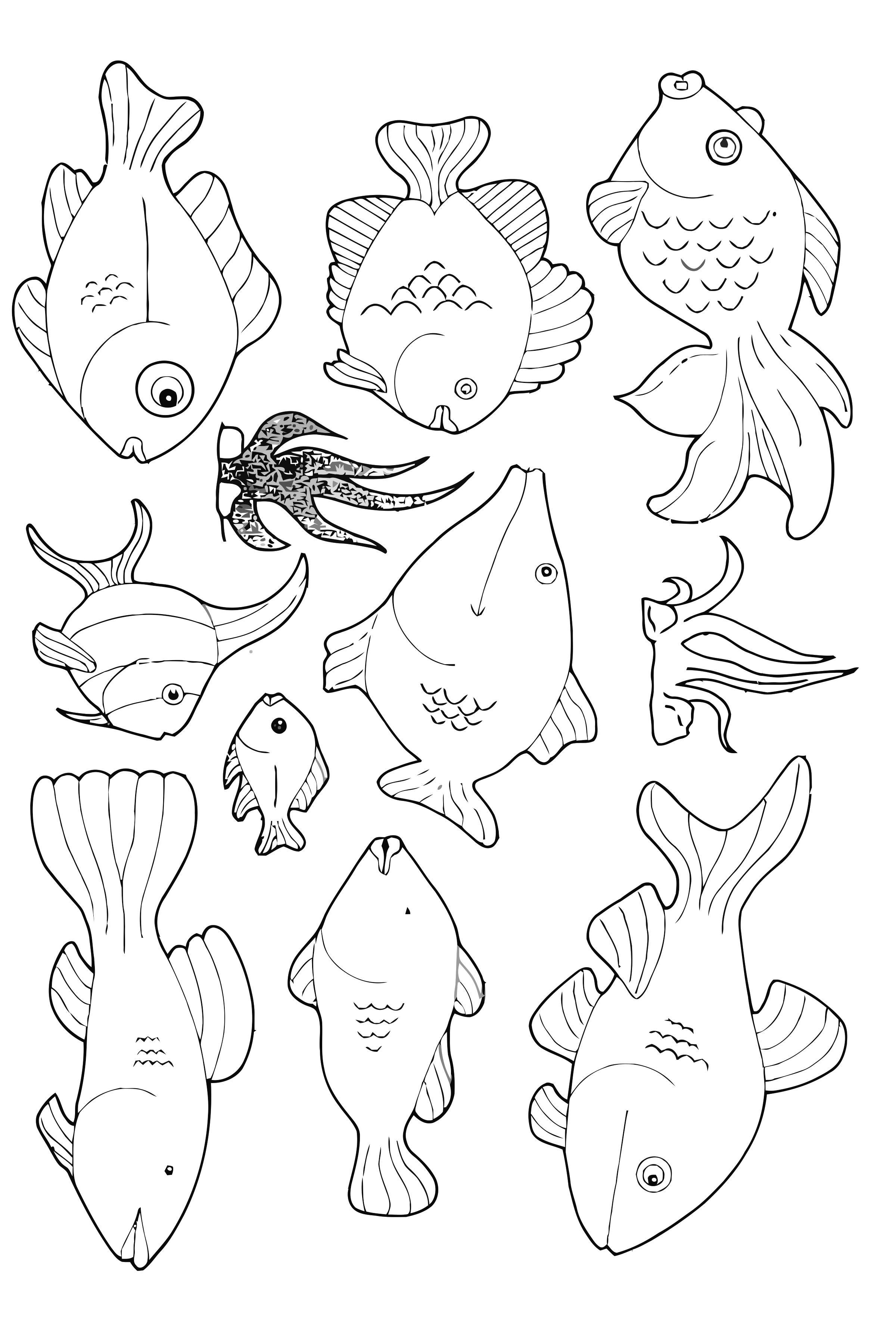 beaucoup de poissons nageant autour Coloriage beaucoup de poissons nageant autour